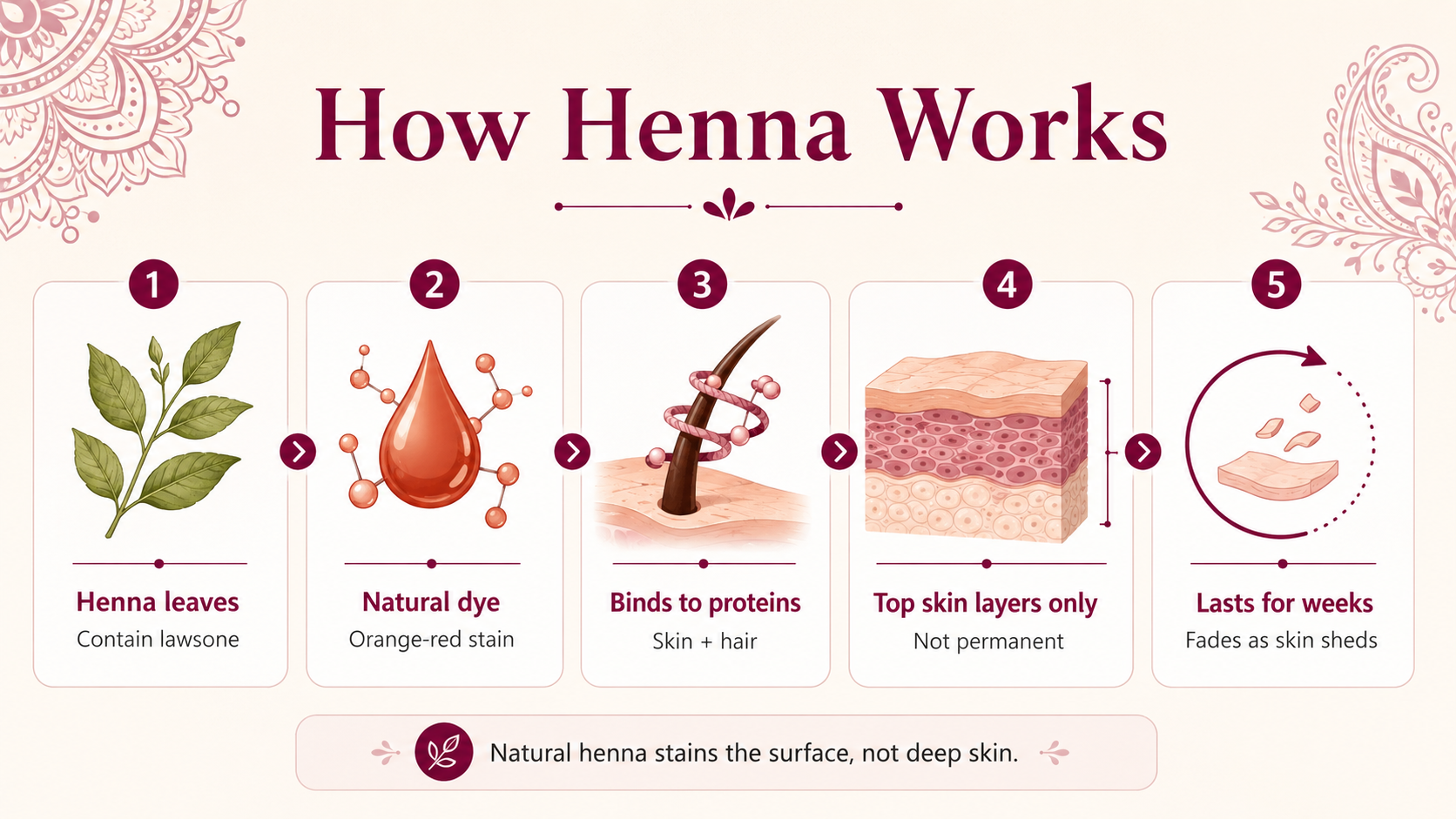 How Does the Lawsone Molecule Work in Henna